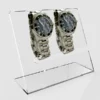 Clear acrylic stand showcasing two luxury wristwatches in an angled display