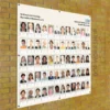 Wall-mounted staff board for Nottingham Hearing Biomedical Research Unit with rows of staff photos and name pockets beneath each image.